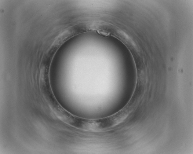 X0000089400217200706151235