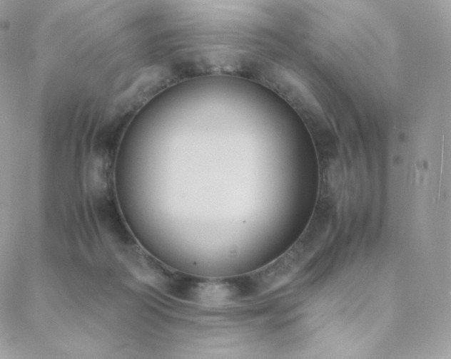 X0000089400218200706151235