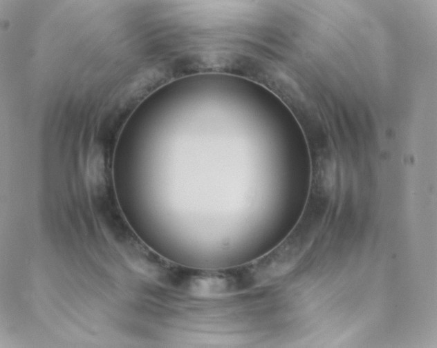 X0000089400220200706151235