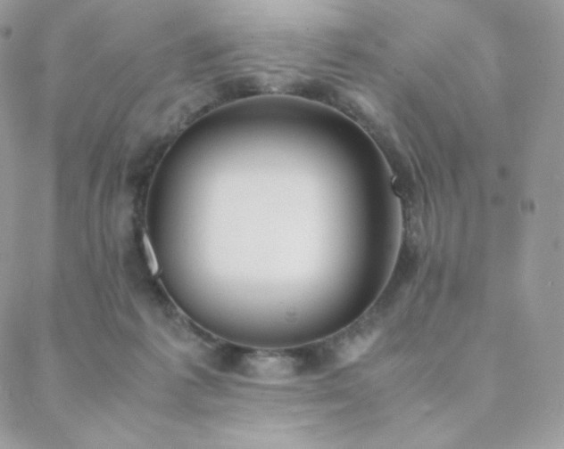 X0000089400221200706151235