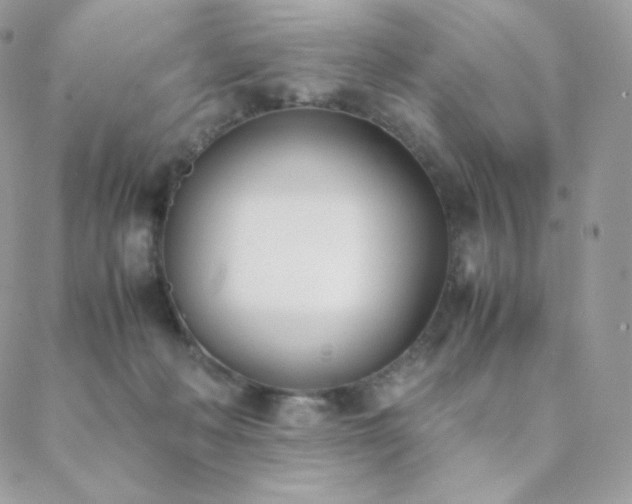 X0000089400222200706151235