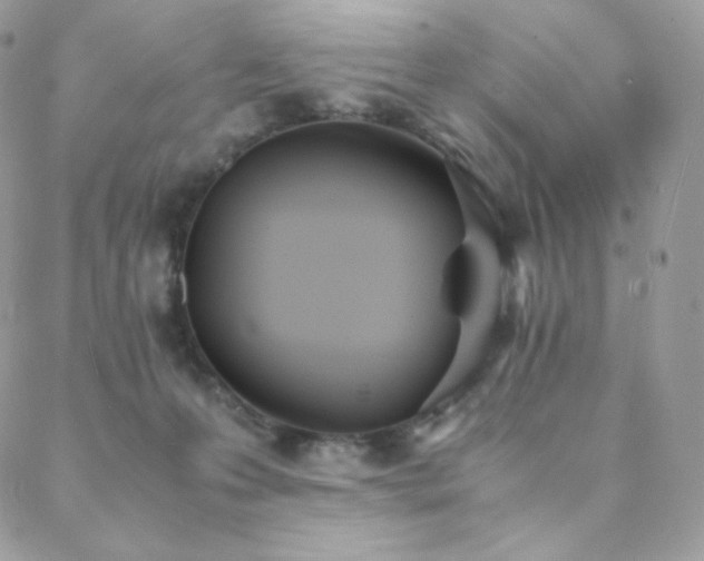 X0000089400223200706151235