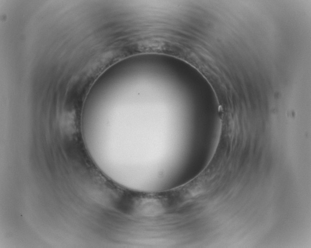 X0000089400224200706151235