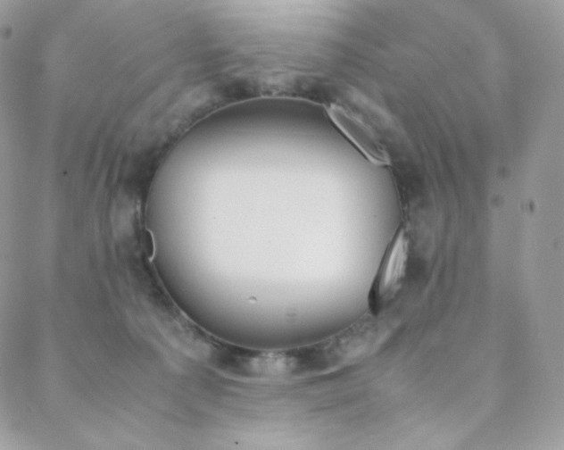 X0000089400225200706151235