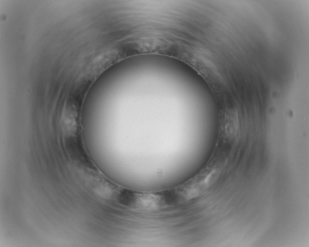 X0000089400226200706151235