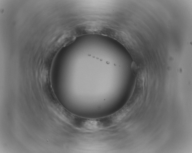 X0000089400227200706151235