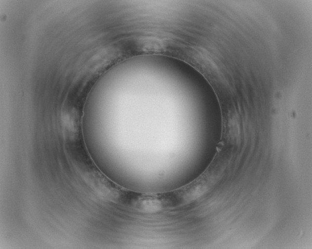 X0000089400228200706151235