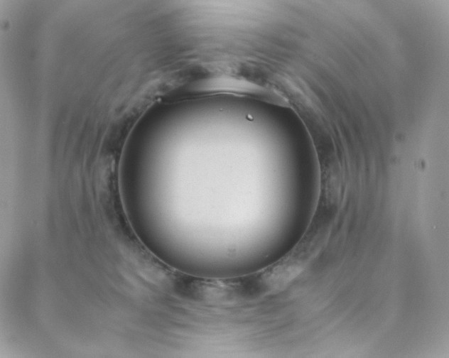 X0000089400229200706151235