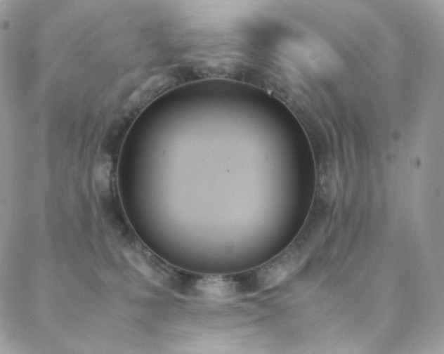 X0000089400231200706151234