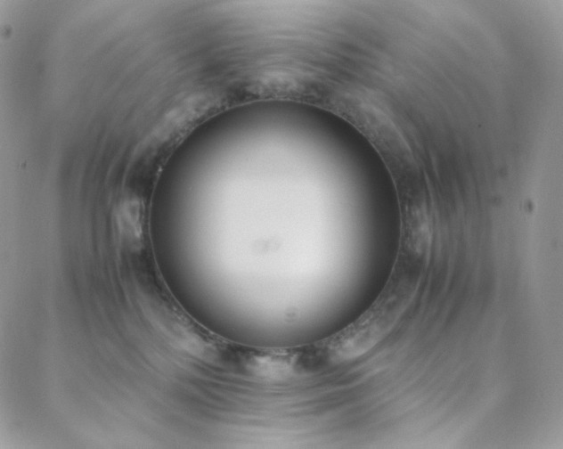 X0000089400232200706151234