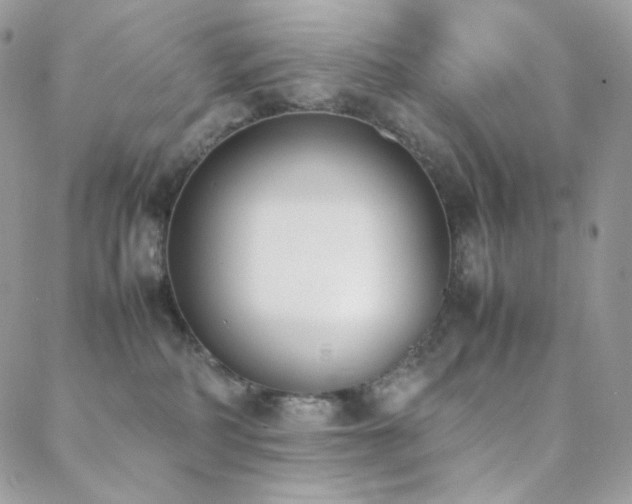 X0000089400234200706151234