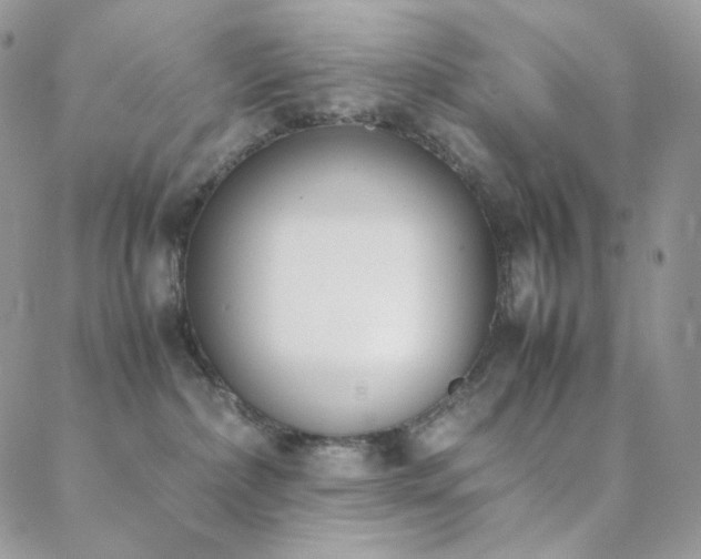 X0000089400236200706151234