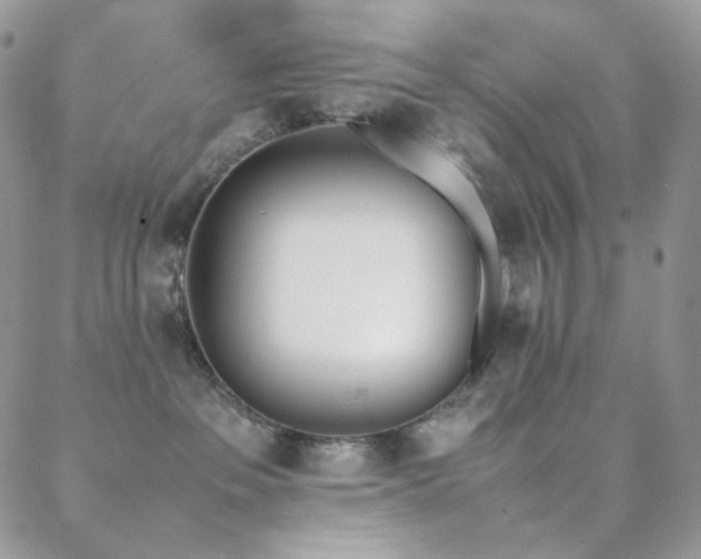 X0000089400237200706151234