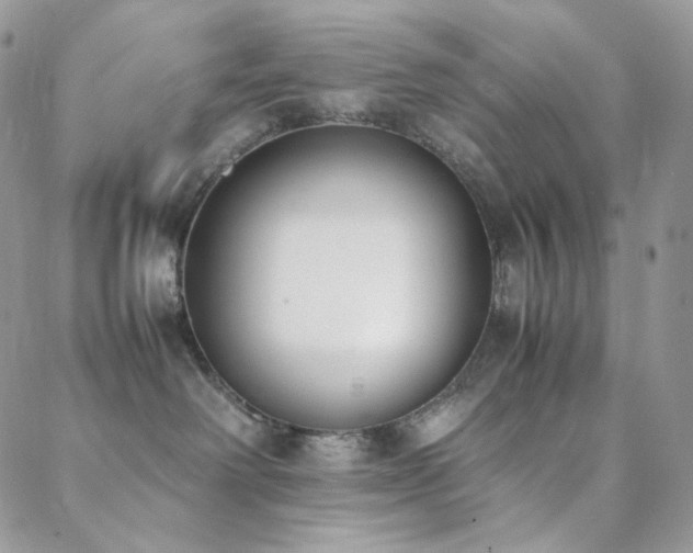 X0000089400238200706151234