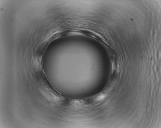 X0000089400239200706151234