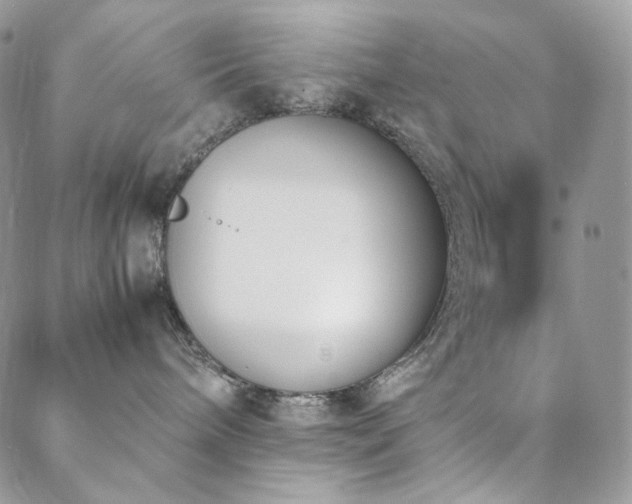 X0000089400240200706151234