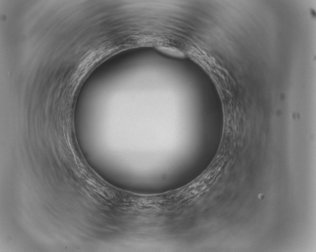 X0000089400241200706151234