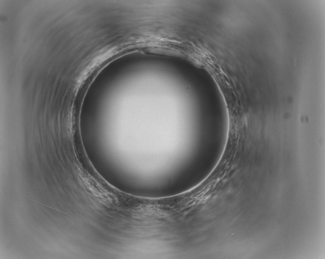 X0000089400244200706151234