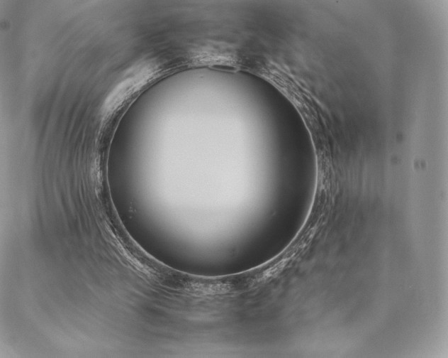 X0000089400245200706151234