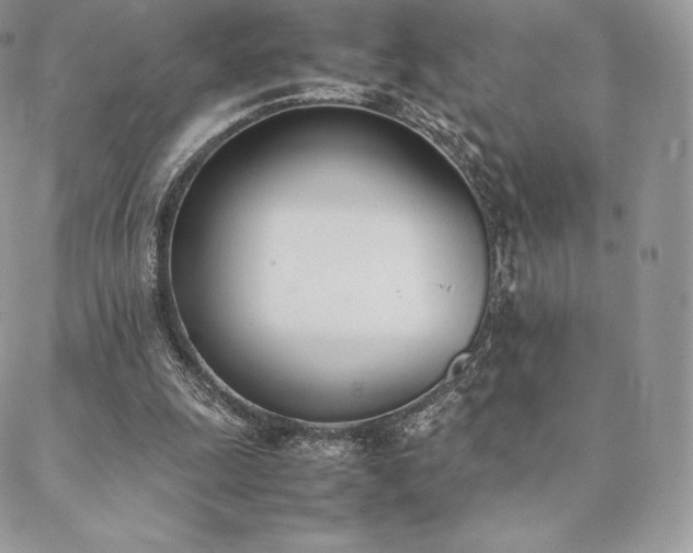 X0000089400247200706151234