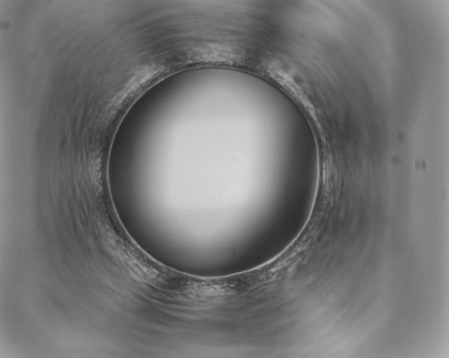 X0000089400249200706151234