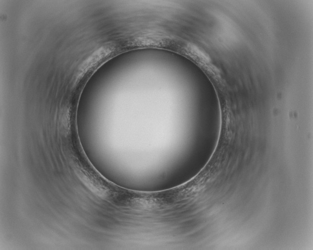 X0000089400250200706151234