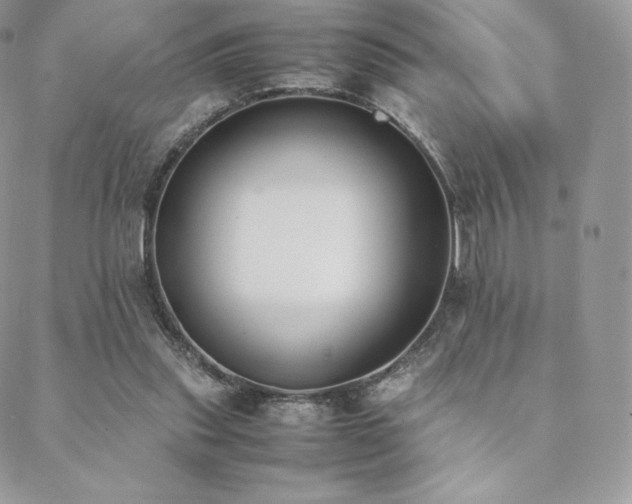 X0000089400253200706151234