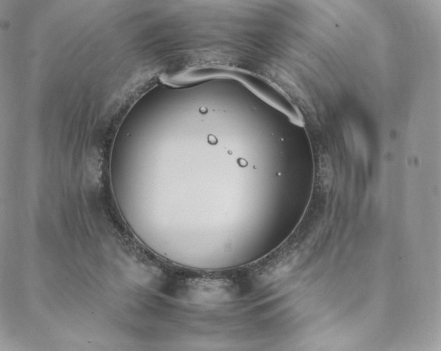 X0000089400255200706151234