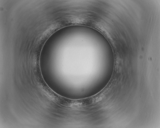 X0000089400257200706151234