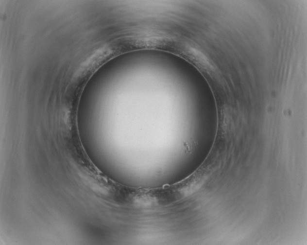 X0000089400258200706151234