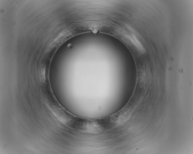 X0000089400262200706151234