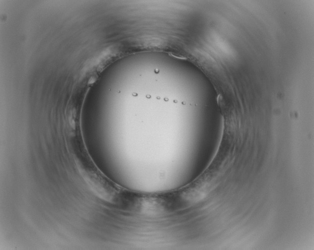 X0000089400264200706151234