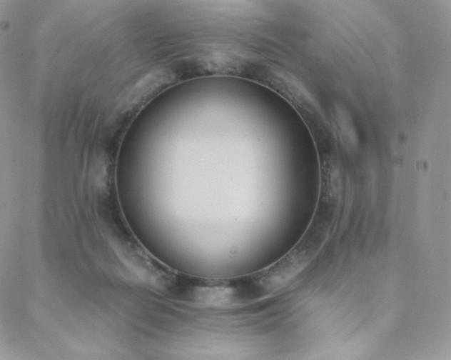 X0000089400266200706151234