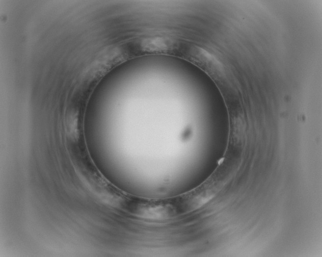 X0000089400267200706151234