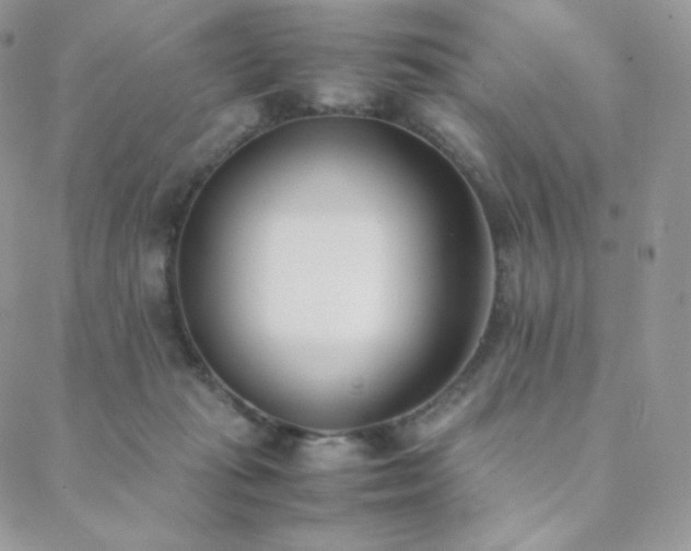 X0000089400269200706151234