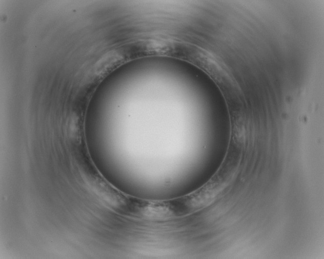 X0000089400270200706151234