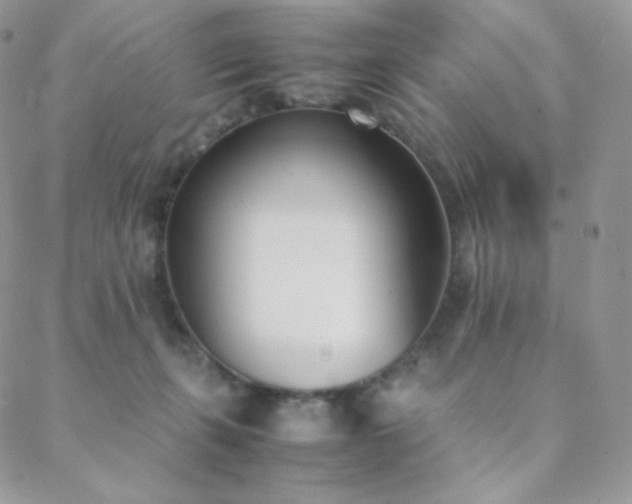 X0000089400271200706151234