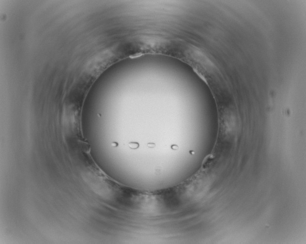 X0000089400276200706151234