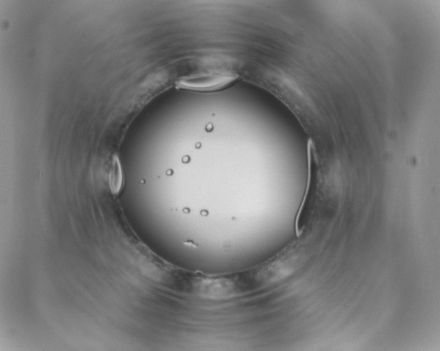 X0000089400277200706151234