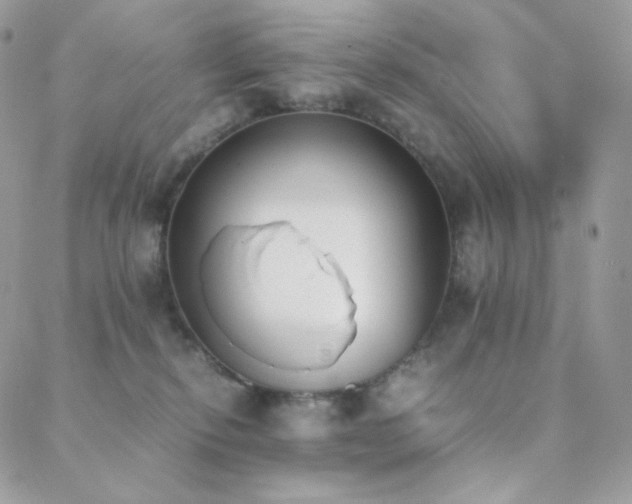 X0000089400278200706151234