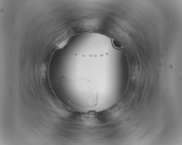 X0000089400279200706151234