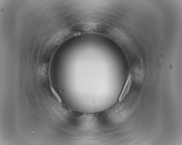 X0000089400280200706151234