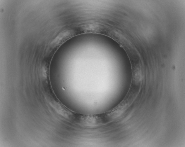 X0000089400282200706151234