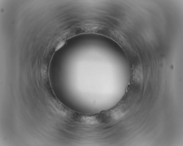 X0000089400283200706151234