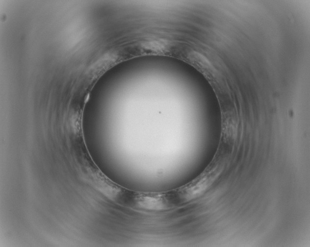 X0000089400285200706151234