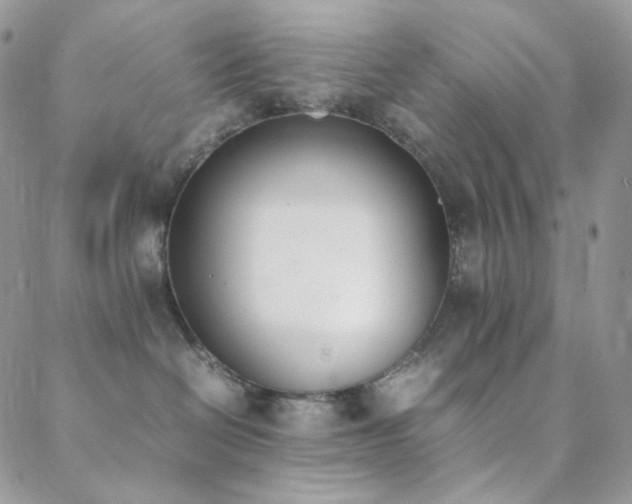 X0000089400286200706151234