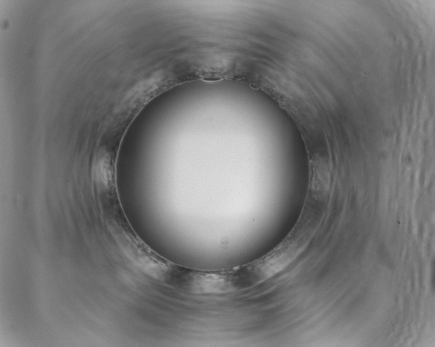 X0000089400287200706151234