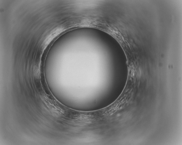 X0000089400292200706151233