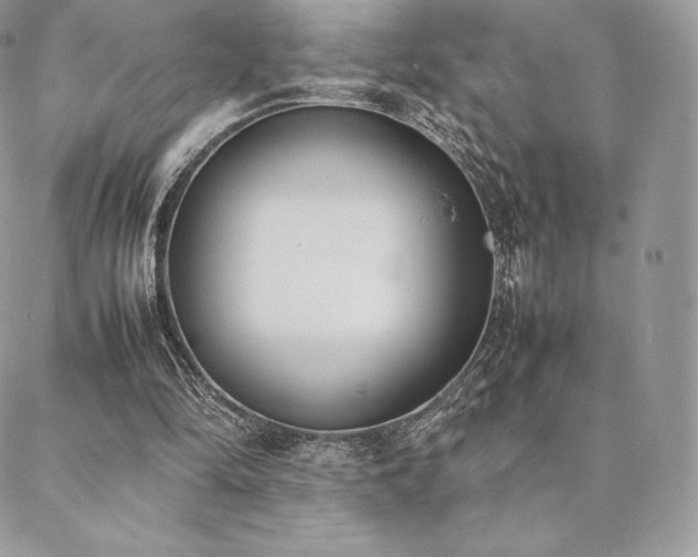 X0000089400294200706151233