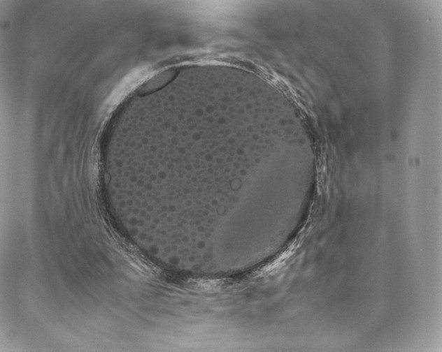 X0000089400295200706151233